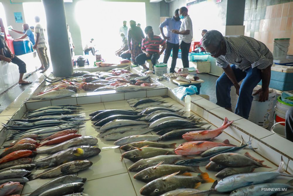 Visit stroll around the local fish market in Malé, Maldives