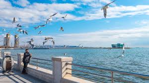 Visit  stroll along the Boulevard,